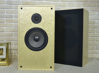 Audio Note AN-J SPX