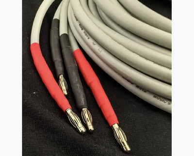 Audio Note AN-SPx / 4X2.5m 4