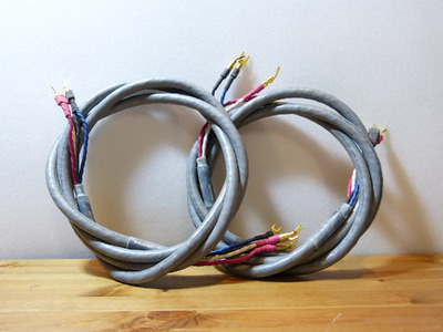 TaraLabs RSC Prime Bi-Wire
