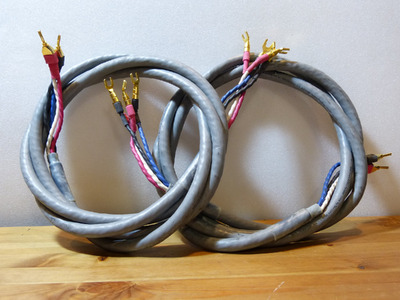 TaraLabs RSC Prime Bi-Wire 2