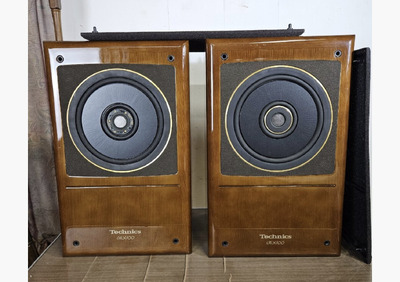 Technics SB-RX100