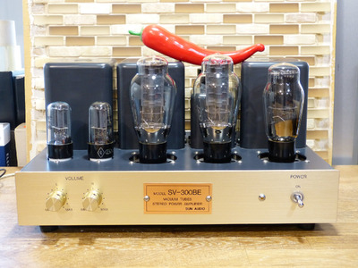 Sun Audio SV-300BE