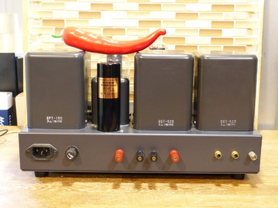 Sun Audio SV-300BE 2