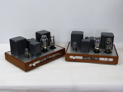 Sun Audio SV-300B / Моно-блоки
