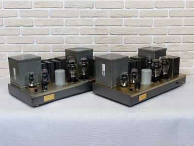 WooDMonitoR 300B PP Western Electric Peerless Моно-блоки