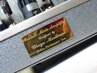 WooDMonitoR 300B PP Western Electric Peerless Моно-блоки 2