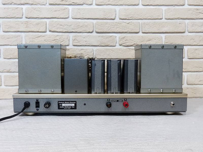 WooDMonitoR 300B PP Western Electric Peerless Моно-блоки 4