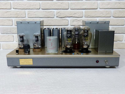 WooDMonitoR 300B PP Western Electric Peerless Моно-блоки 3