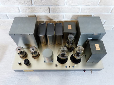 WooDMonitoR 300B PP Western Electric Peerless Моно-блоки 6