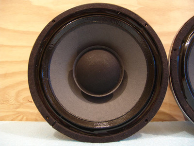Goodmans Axiom 401 2