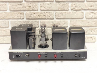 WooDMonitoR 421A Western Electric 2