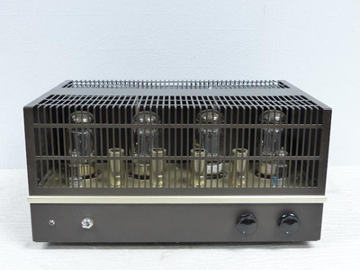 WooDMonitoR KT-88PP Tango