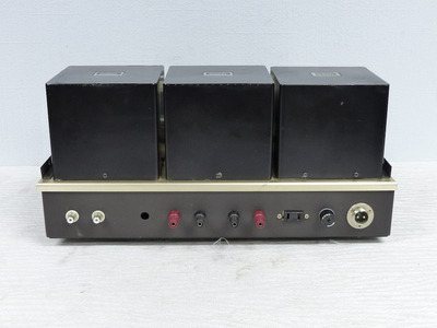 WooDMonitoR KT-88PP Tango 3