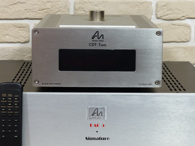 Audio Note CDT-Two Black Gate Inside 4