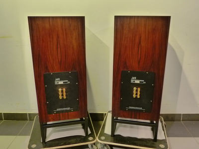 ATC SCM 100 SL / С подставками 2