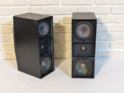 Bang & Olufsen BEOVOX C-75
