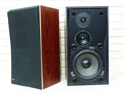 Bang & Olufsen S45-2