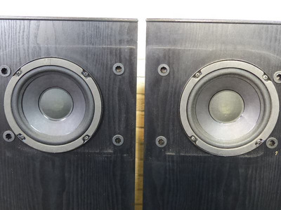 Bose 401 6