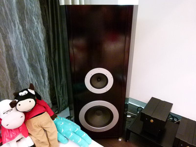 Da Vinci Audio Labs $350.000 -77% 2