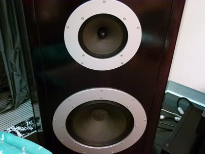 Da Vinci Audio Labs $350.000 -77% 15