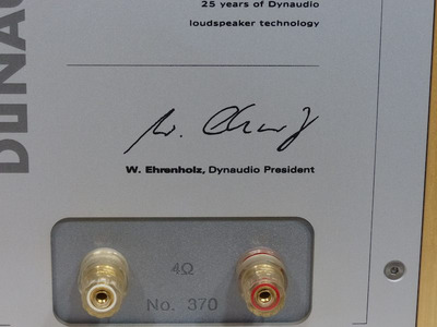 Dynaudio 25 Special Twenty-Five / С Подписью 5