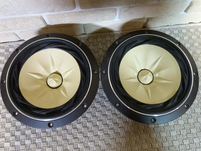 Fostex FE208E Sigma 2