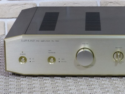Mary Anne 300B / PA-7000 300B Western Electric 1958 год 13