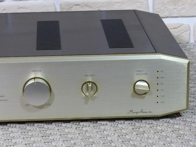 Mary Anne 300B / PA-7000 300B Western Electric 1958 год 14