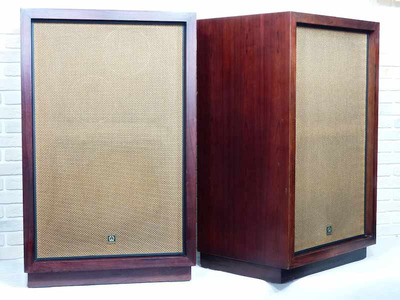 Pioneer CS-100