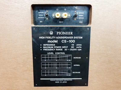 Pioneer CS-100 3