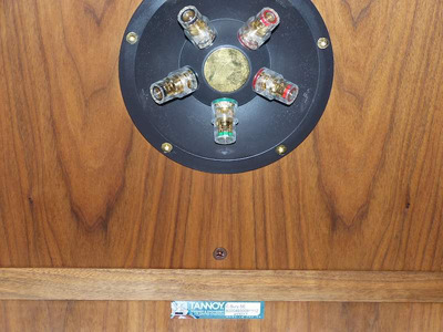 Tannoy Canterbury SE 10