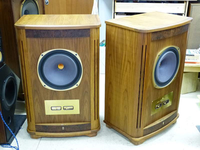 Tannoy Canterbury SE 13
