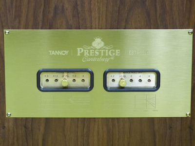 Tannoy Canterbury SE 14