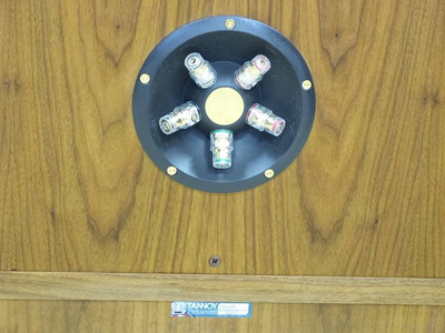 Tannoy Canterbury SE 15