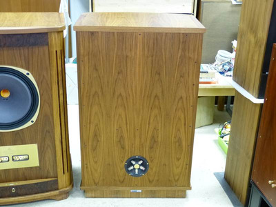 Tannoy Canterbury SE 16