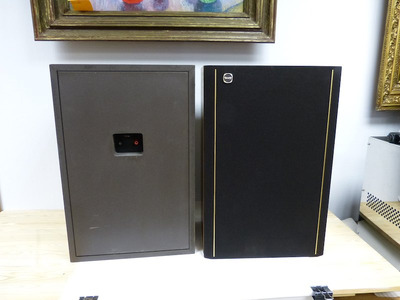 Tannoy DC-4000 2