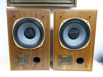Tannoy DC-4000 4