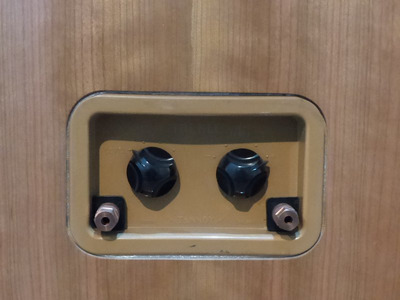 Tannoy 15" корпуса от Киселева Дениса 3