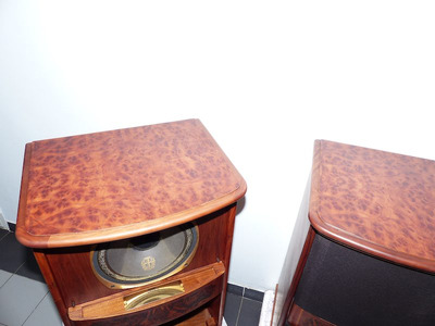 Tannoy RHR 6