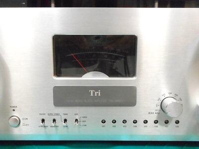 Triode TRV-M88PP моно-блоки 2