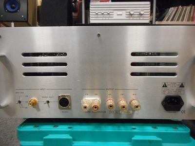 Triode TRV-M88PP моно-блоки 3