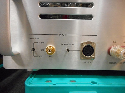Triode TRV-M88PP моно-блоки 4