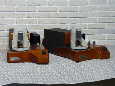 Unison Research Smart 845 Моно-блоки