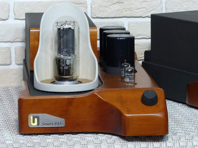 Unison Research Smart 845 Моно-блоки 2