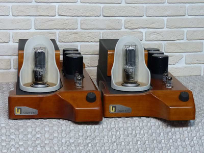 Unison Research Smart 845 Моно-блоки 3