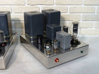 WooDMonitoR 300B SE A-class Mono-block / F-2007 3