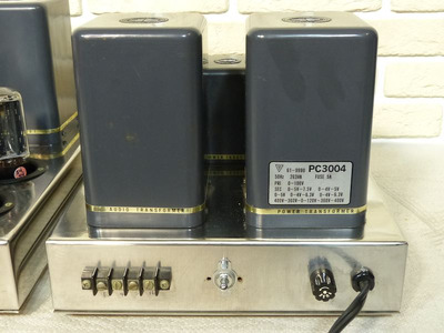 WooDMonitoR 300B SE A-class Mono-block / F-2007 4