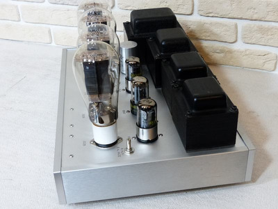 WooDMonitoR 300B PP 3