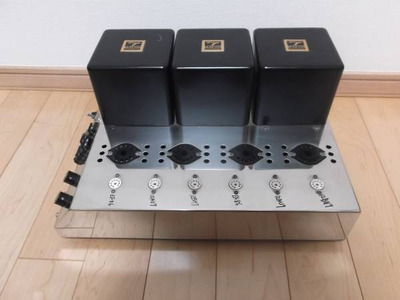 WooDMonitoR EL156 pp 5