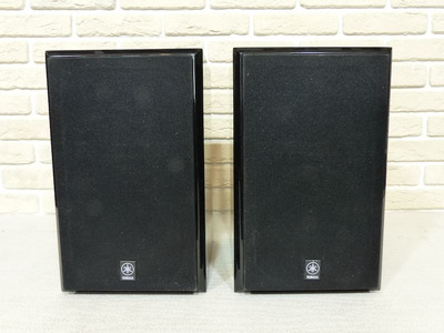 Yamaha NX-E400